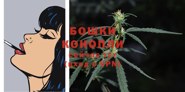 соль ск Белокуриха