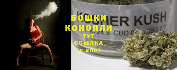 соль ск Белокуриха