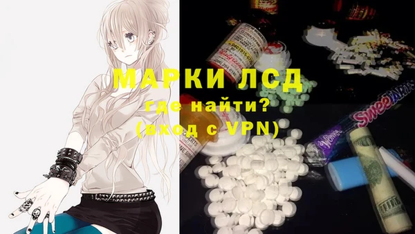 ГАЛЛЮЦИНОГЕННЫЕ ГРИБЫ Семёнов