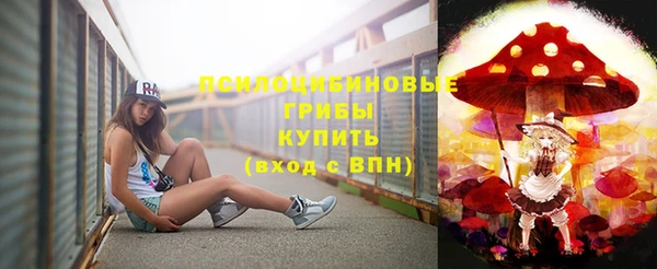 соль ск Белокуриха