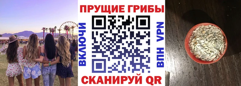купить закладку  Вязники  ссылка на мегу ТОР  shop наркотические препараты  Псилоцибиновые грибы ЛСД 