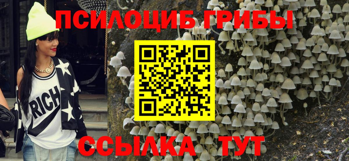 Псилоцибиновые грибы Psilocybe  Галлюциногенные грибы Psilocybe  Вязники  Вход с VPN 