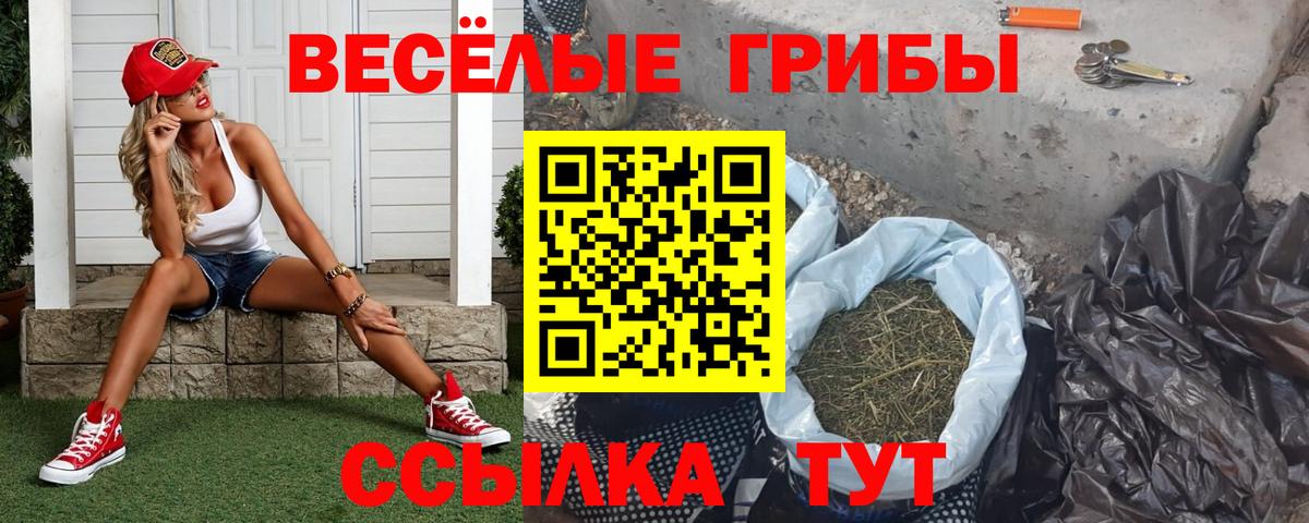 Псилоцибиновые грибы Cubensis Вязники