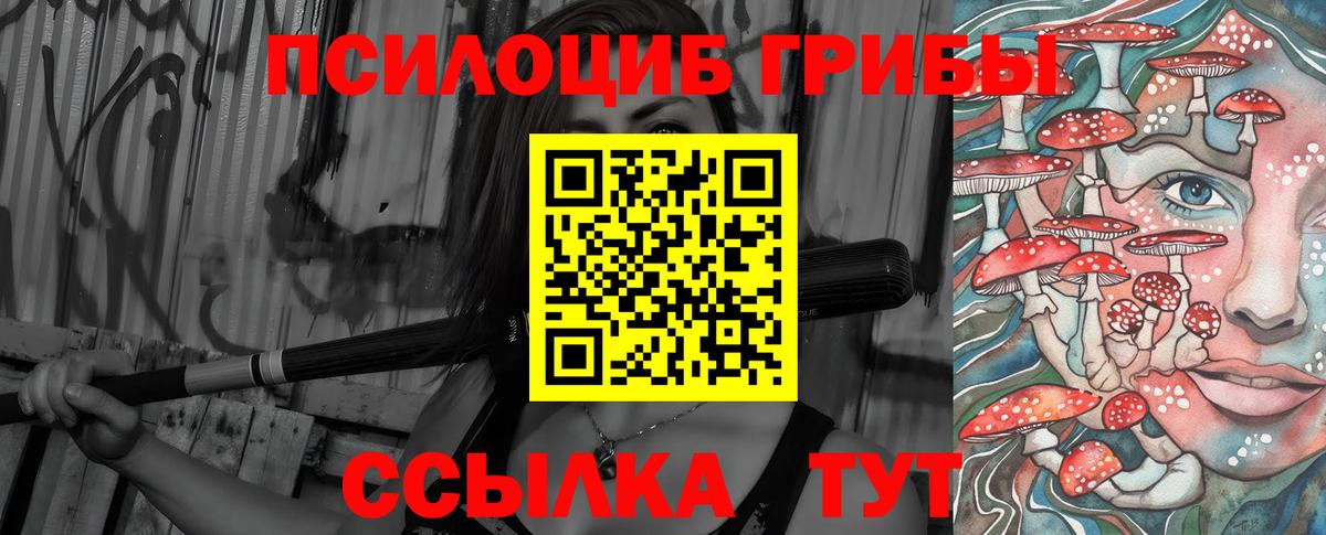 Псилоцибиновые грибы ЛСД  закладка  Вязники 